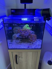 Reef Tank Aquarium Redsea