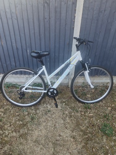 Apollo transition adult - adult, 18