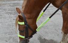 HI VIZ REFLECTIVE FLUORESCENT 4 PART BRIDLE PIECES SET * YELLOW / ORANGE / PINK
