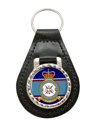 7006 intelligence squadron - 7006,