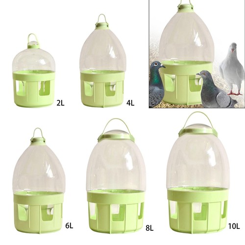 Pigeon water dispenser feeder - pigeon,