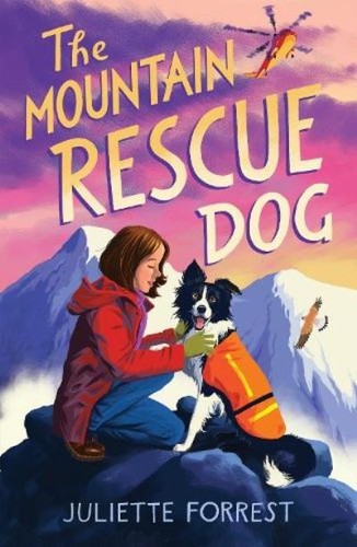 The mountain rescue dog