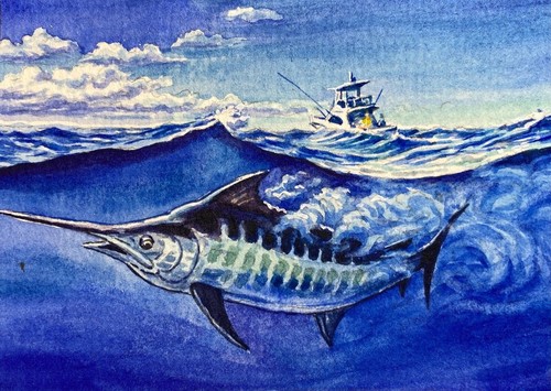 Watercolor painting marlin - painting,