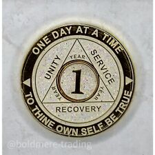 1 Year Alcoholics Anonymous Medallion White Gold Plated AA Sobriety Chip Coin