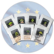 European Bonsai Seed