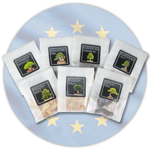 European bonsai seed - european,