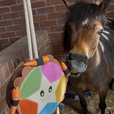 Ruggles Horse Stable Toy | Boredom buster for horse pony donkey | Carrot Cupcake
