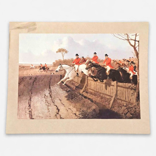 Equestrian horse hunting - horse,