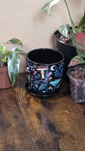 Dark forest ceramic plant - 2x,