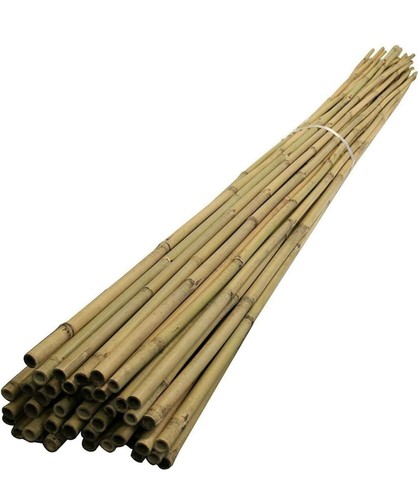 6ft bamboo canes - 6ft,