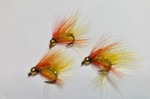 Yellow snatcher fly - 3, x