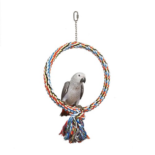 Coloured ring parrot - coloured,
