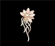 The Exquisite Crystal Orchid