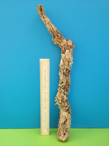 Cork bark branch 50cm - bark,