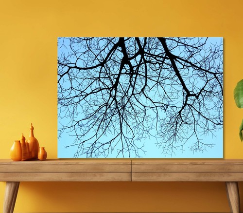 Branches tree with - a,