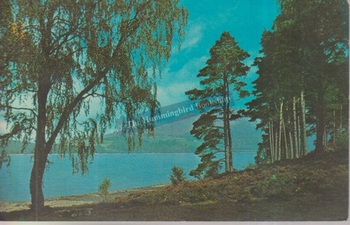Loch rannoch perthshire - loch,