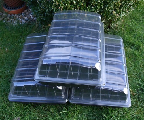 Full size propagator seed - size,