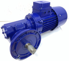 3-Phase AC Electric Motor Gearbox 30RPM Gear Motor Reducer Flange Mounted 25mm