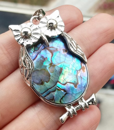 5pcs natural abalone shell - 5pcs,
