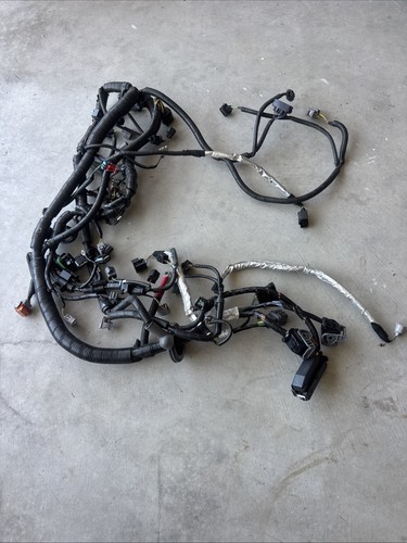 Oem lotus engine - oem, harness