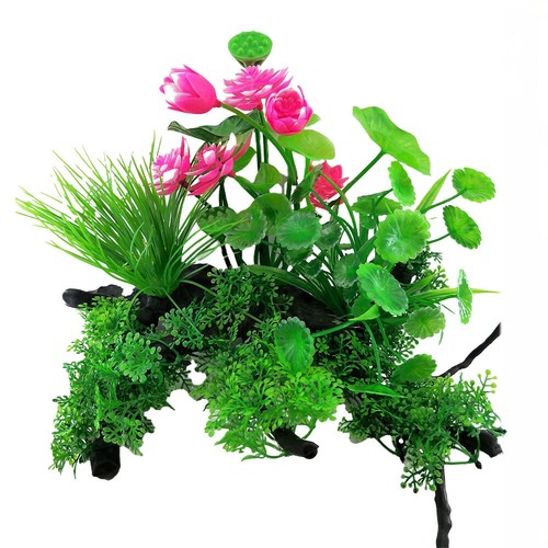 Swell flowering combination - swell,