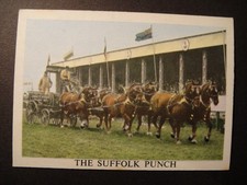 SCARCE ANGLO CONFECTIONARY