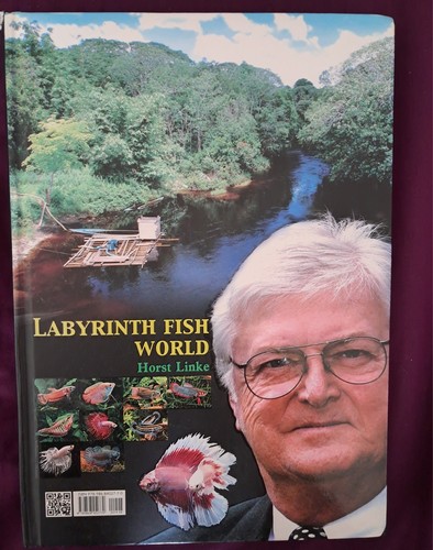 Horst linke labyrinth - linke,