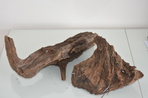 Real aquarium bog - real, wood