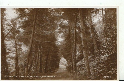 Somerset postcard among the - somerset,