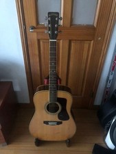 Blue Ridge Acoustic Guitar