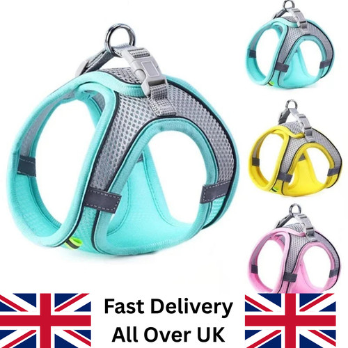 Dog harness and leash - harness,