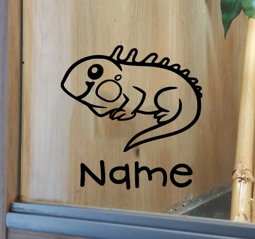 Iguana customised vivarium - customised,