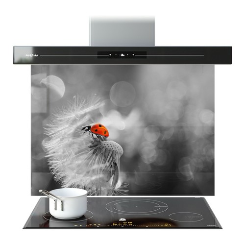Kitchen glass splashback - kitchen,