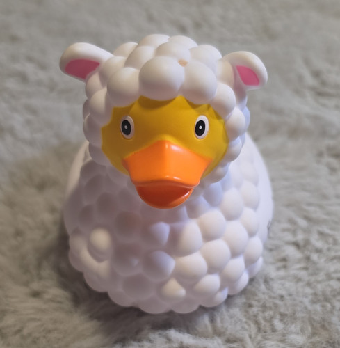 White rubber duck - white,