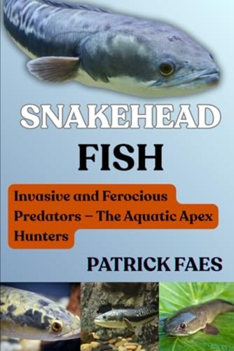 Snakehead fish invasive and - -,