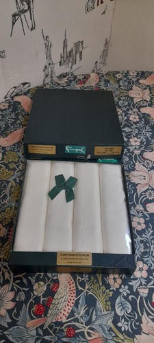 Chrysanthemum irish linen - irish,