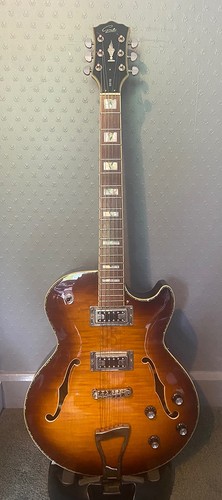 Gould gs155 jazz guitar - guitar, amber