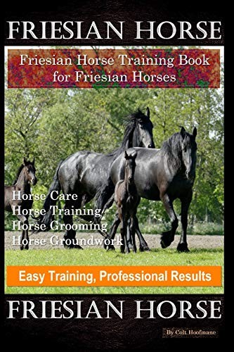 Friesian horse - horse,,