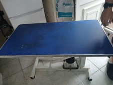 Pedigroom PEDLHD Large Professional Heavy Duty Hydraulic Dog Grooming Table