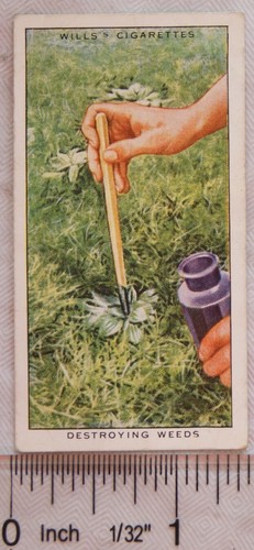 1938 wills garden hints - 1938, no.