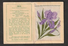 Kensitas WIX tobacco Medium