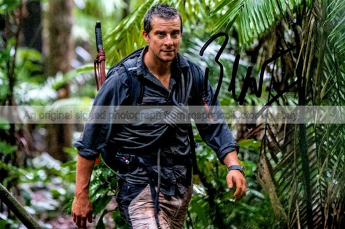 Bear grylls presenter born - bear, tv