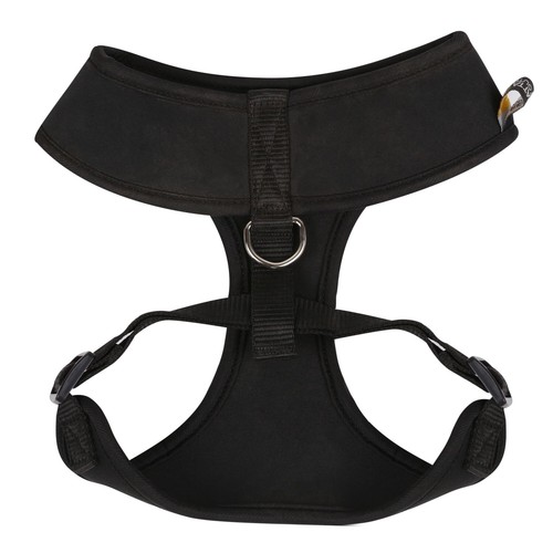 Regatta neoprene dog - dog, harness