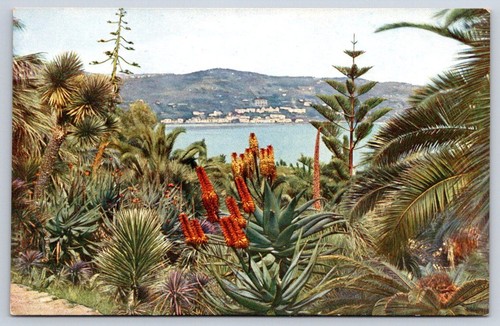 Antique france postcard - france, hyeres
