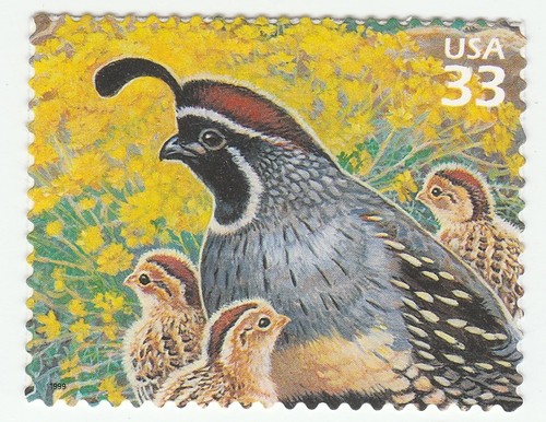 3293d sonoran desert - us,
