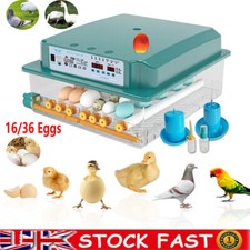 16/36 Eggs Digital Incubator