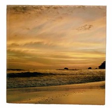 Costa Rica Ceramic Tile Trivet
