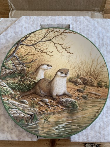 Otter pair riverbank - a,