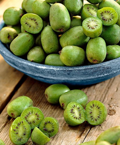 Chinese kiwi berry hundreds - kiwi,