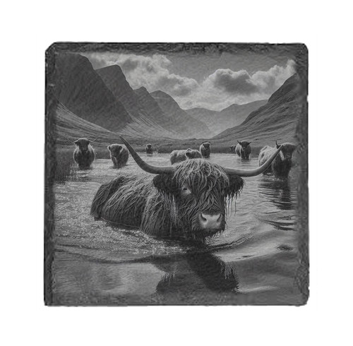 Slate coasters engraved - coasters,
